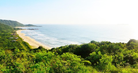 imagem capa Praia Mole em Florianópolis - Santa Catarina
