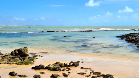 Baia dos Golfinhos - Praia de Pipa