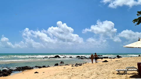 Baia dos Golfinhos - Praia de Pipa