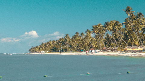 Praia dos Carneiros em Porto de Galinhas