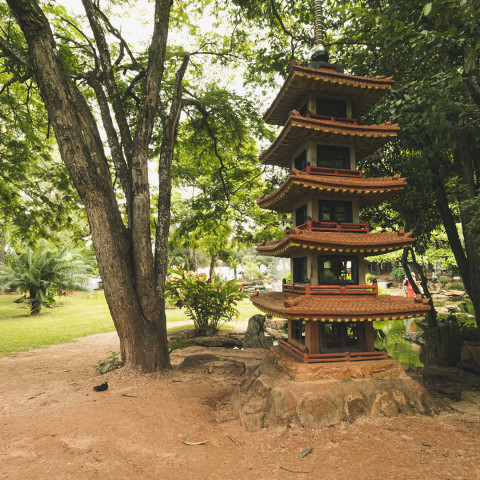 Imagem representativa: Conheça o Jardim Japonês em Caldas Novas | Conhecer Agora