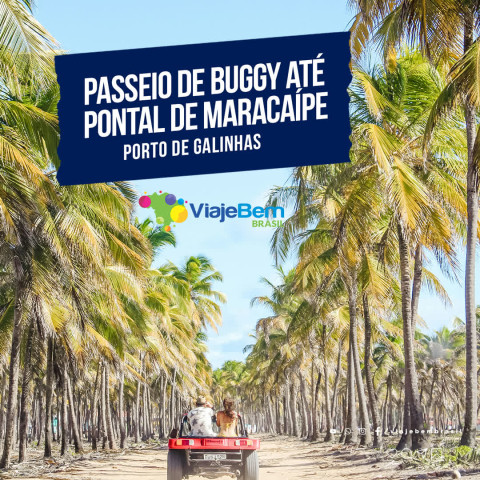 Imagem representativa: Venha Passear de buggy em Porto de Galinhas | Conhecer Agora
