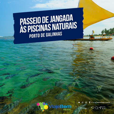 Imagem representativa: Venha aproveitar as Piscinas naturais em Porto de Galinhas | Conheça Agora