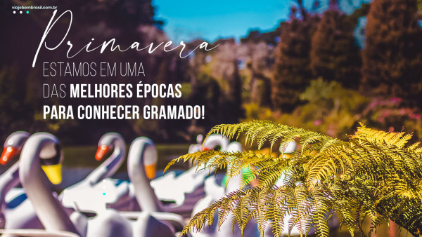 Foto demonstrativa de Gramado na Primavera - Um Passeio Encantador Entre as Flores