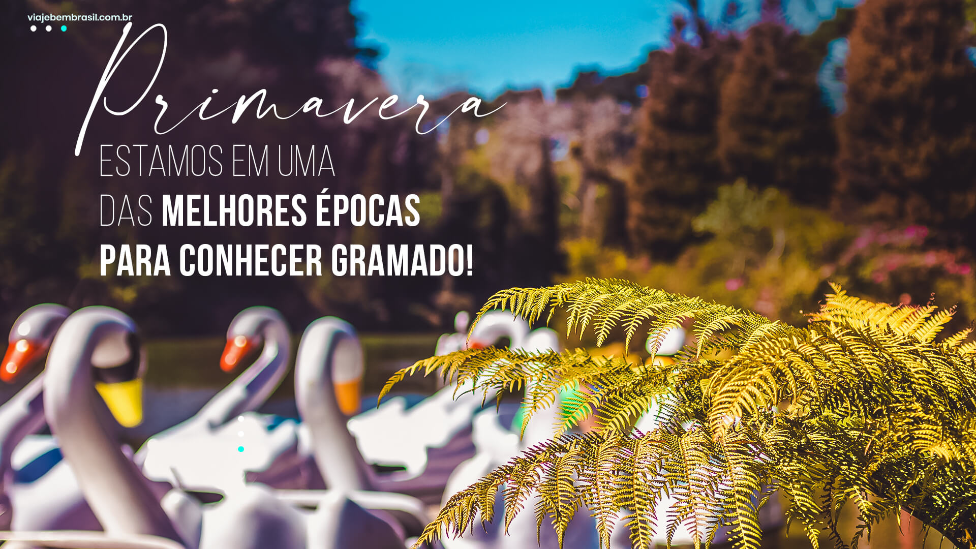 Gramado na Primavera - Um Passeio Encantador Entre as Flores